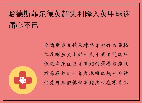 哈德斯菲尔德英超失利降入英甲球迷痛心不已